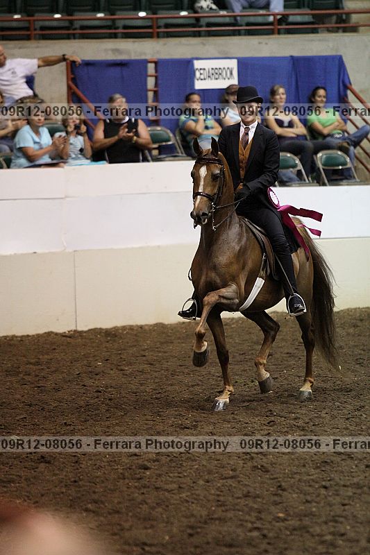 Proof 09r12-08056