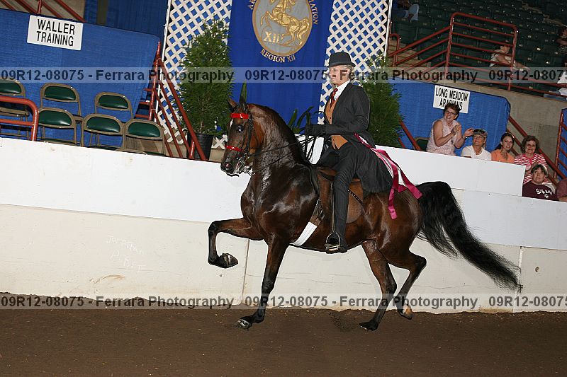 Proof 09r12-08075