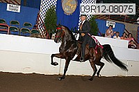 09r12-08075 proof