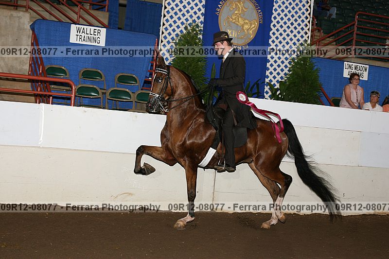 Proof 09r12-08077
