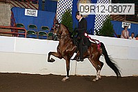 09r12-08077 proof