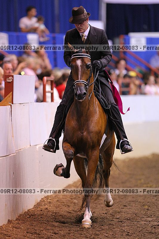 Proof 09r12-08083