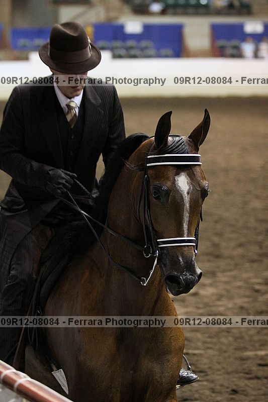 Proof 09r12-08084
