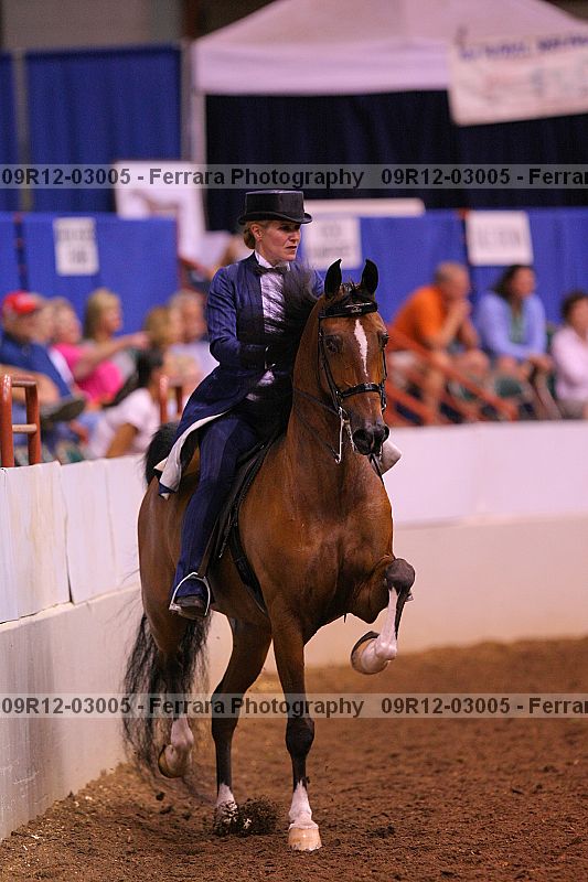 Proof 09r12-03005