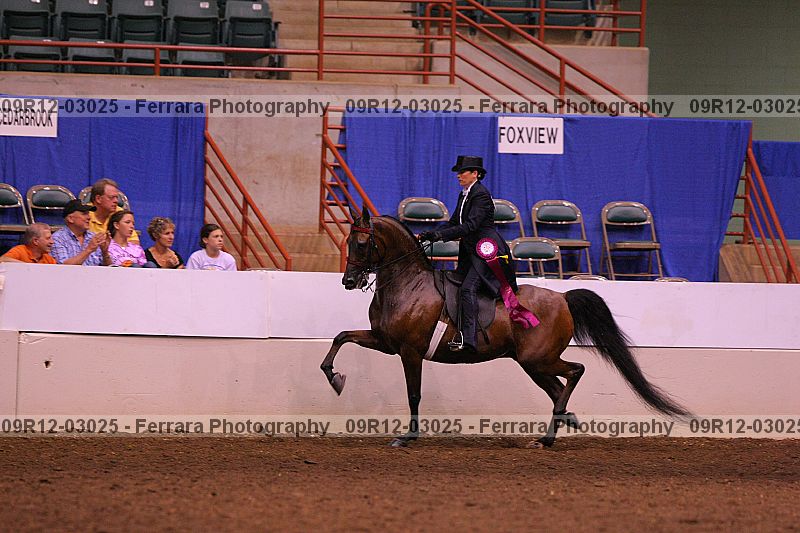 Proof 09r12-03025