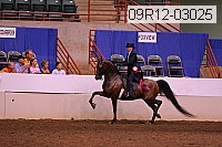 09r12-03025 proof