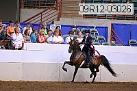 09r12-03026 proof
