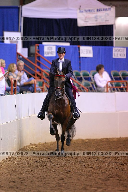 Proof 09r12-03028