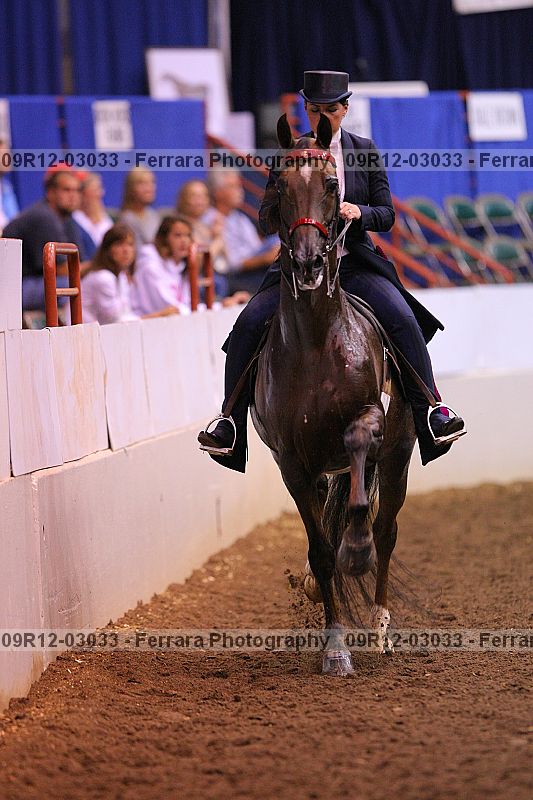 Proof 09r12-03033