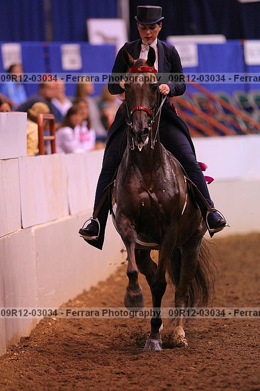 Proof 09r12-03034