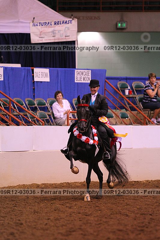 Proof 09r12-03036