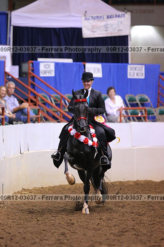 Proof 09r12-03037