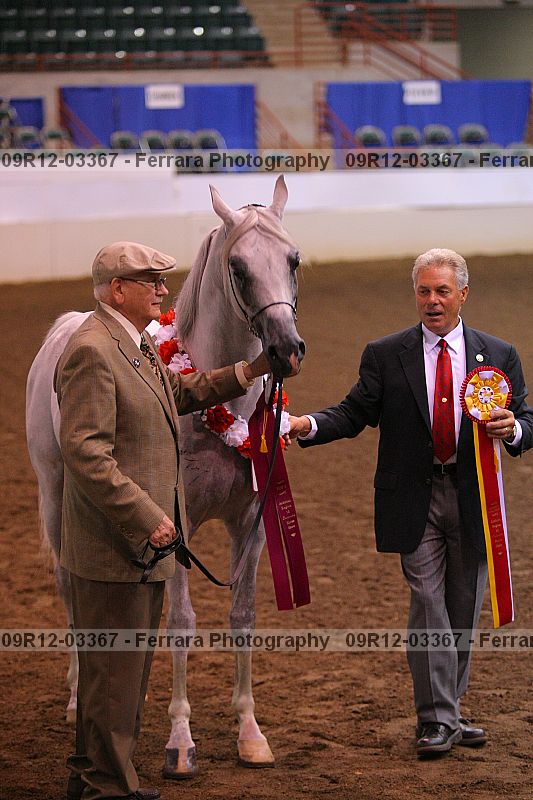 Proof 09r12-03367