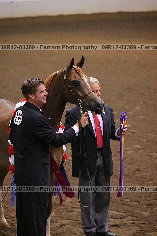 Proof 09r12-03369
