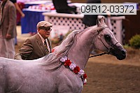 09r12-03372 proof