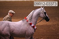 09r12-03373 proof