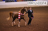 09r12-03374 proof