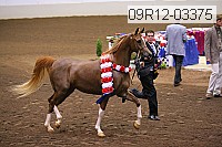 09r12-03375 proof
