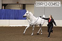 09r12-03452 proof
