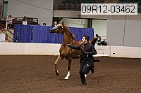 09r12-03462 proof
