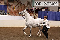 09r12-03465 proof