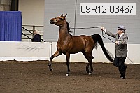 09r12-03467 proof