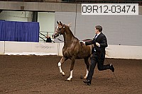 09r12-03474 proof
