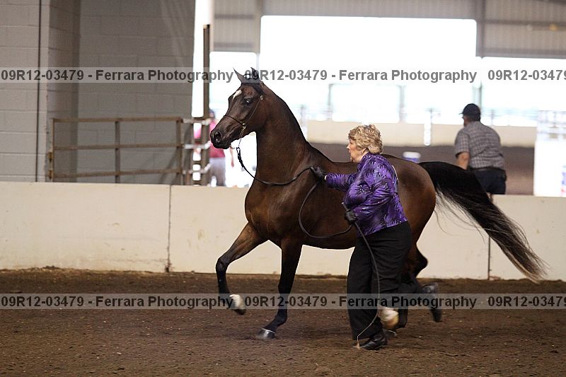 Proof 09r12-03479