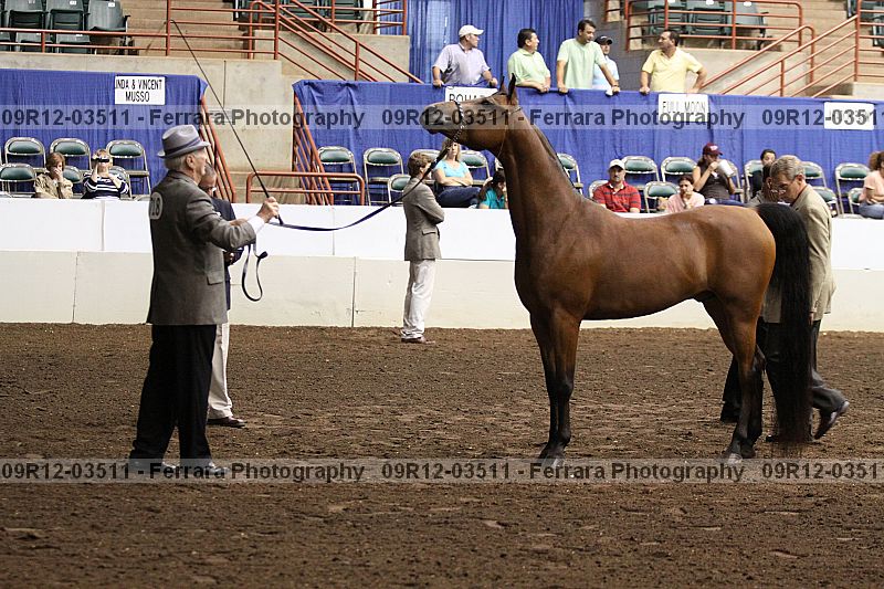 Proof 09r12-03511