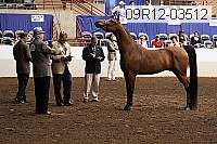 09r12-03512 proof