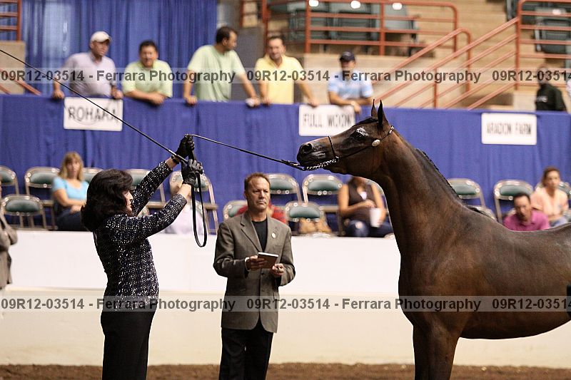 Proof 09r12-03514