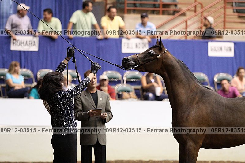 Proof 09r12-03515