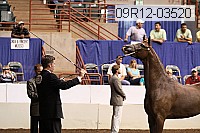 09r12-03520 proof