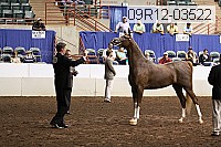 09r12-03522 proof