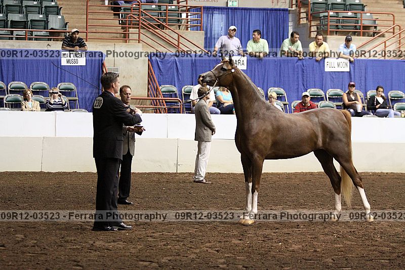 Proof 09r12-03523