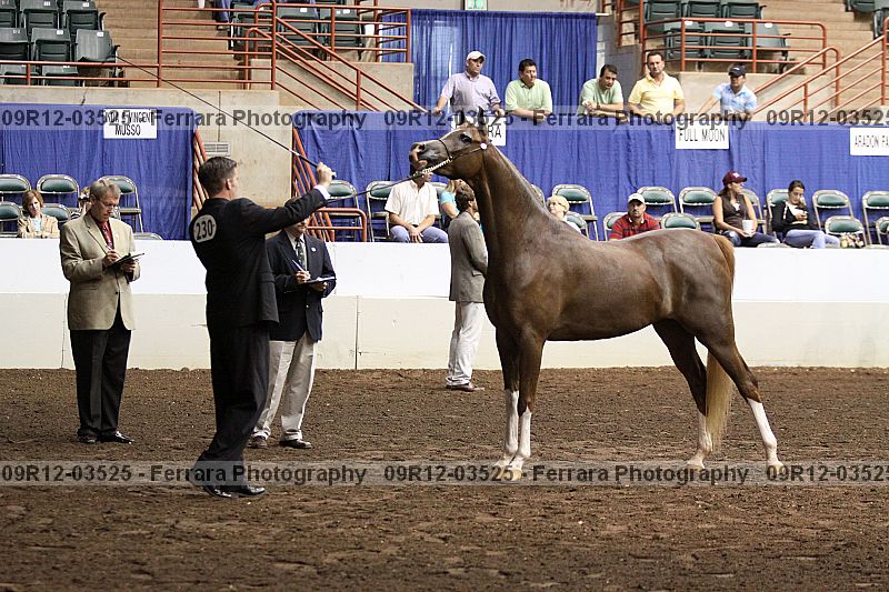 Proof 09r12-03525