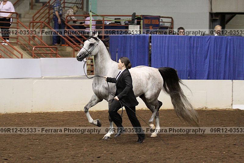 Proof 09r12-03533