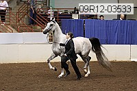 09r12-03533 proof