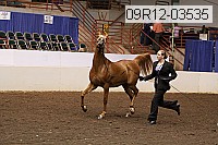 09r12-03535 proof