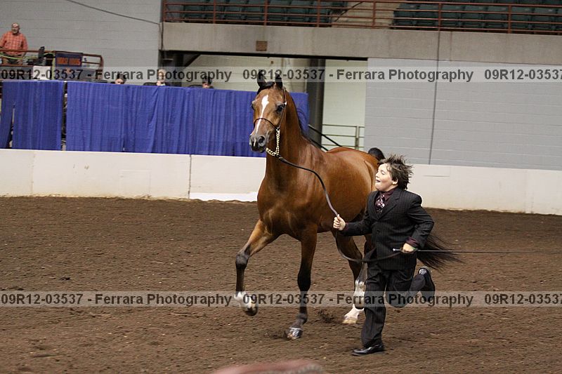 Proof 09r12-03537