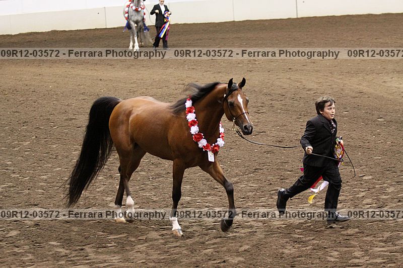 Proof 09r12-03572