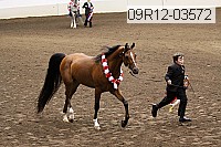 09r12-03572 proof