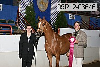 09r12-03646 proof