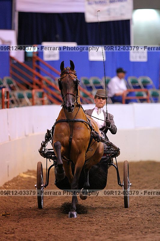 Proof 09r12-03379