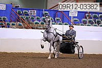 09r12-03382 proof