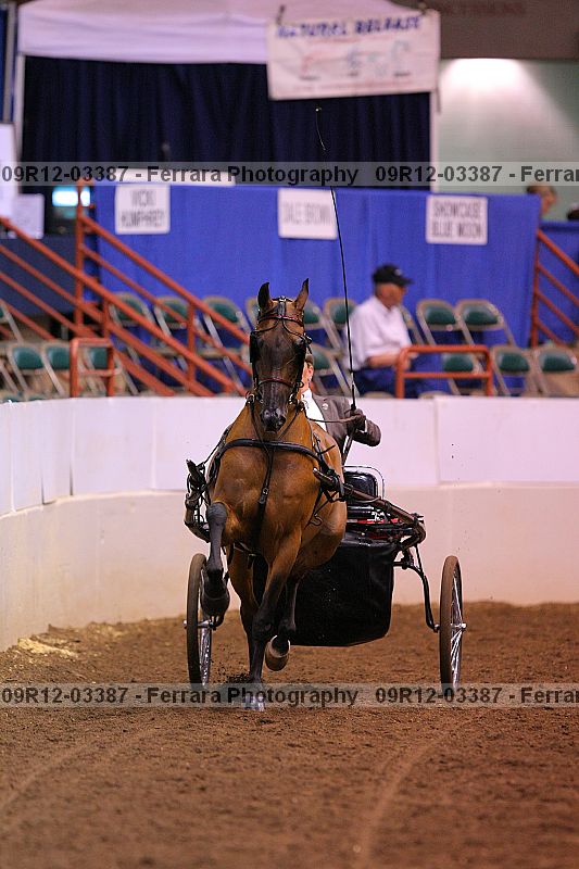 Proof 09r12-03387
