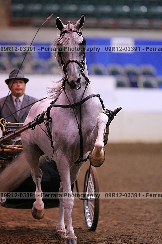 Proof 09r12-03391