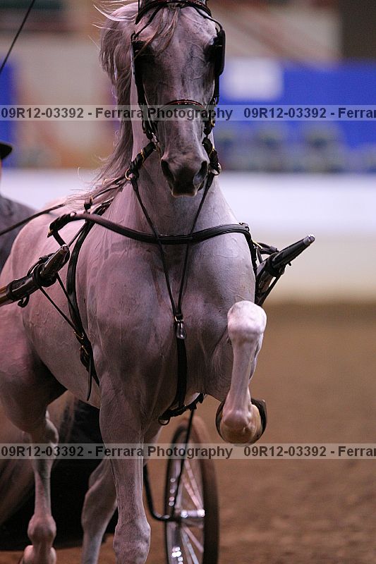 Proof 09r12-03392