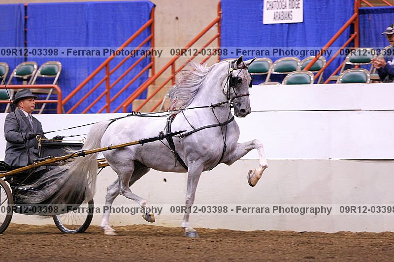 Proof 09r12-03398
