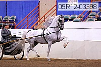 09r12-03398 proof